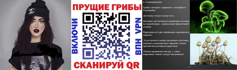 Галлюциногенные грибы Psilocybe  площадка как зайти  Выборг 